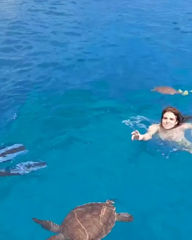 Schwimmen mit einer Meeresschildkröte in klarem Wasser