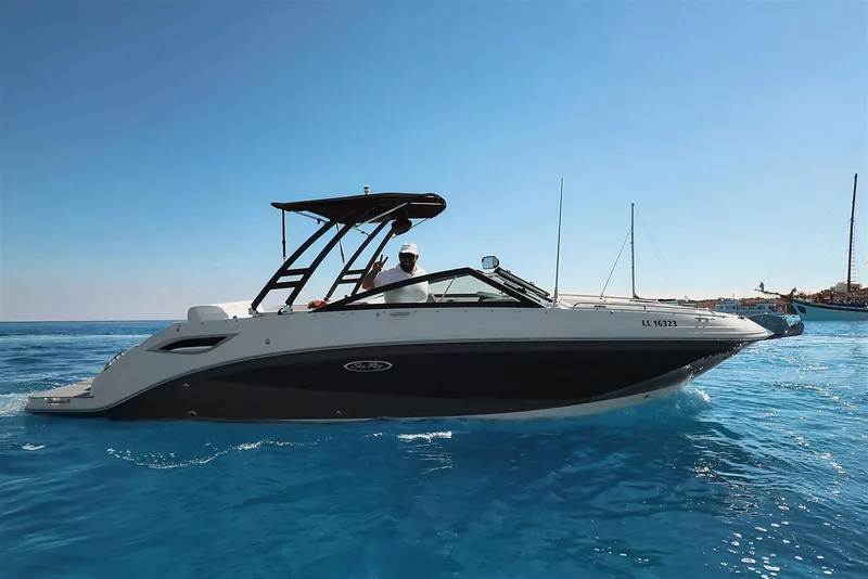 Sea Ray SDX 250