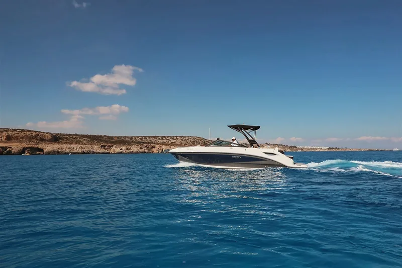 Sea Ray SDX 250