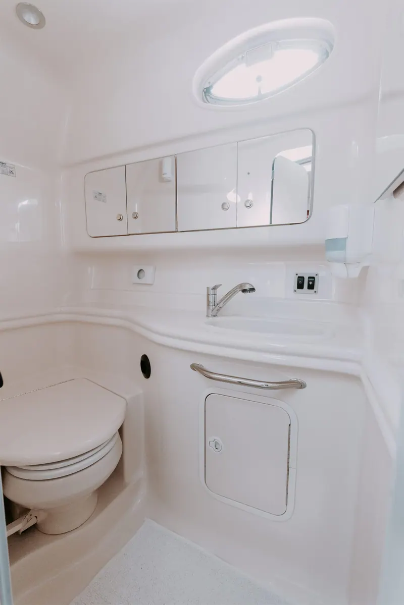 Sea Ray 375