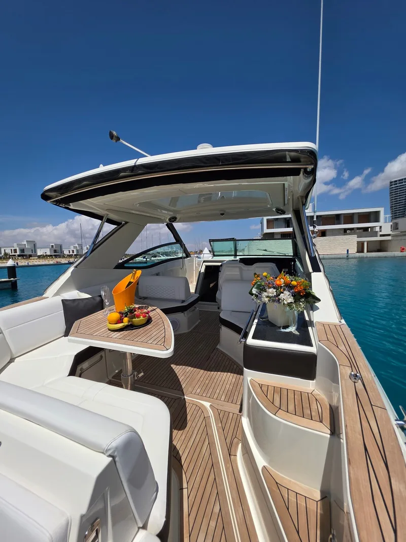 Sea Ray 320
