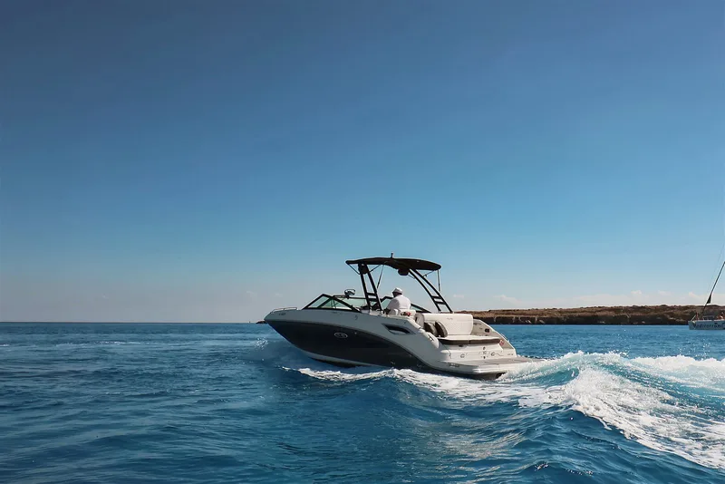 Sea Ray SDX 250