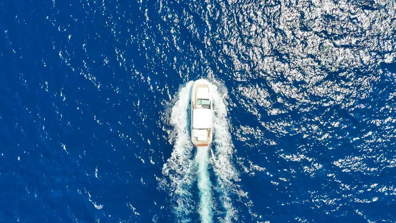 Sea Ray 320
