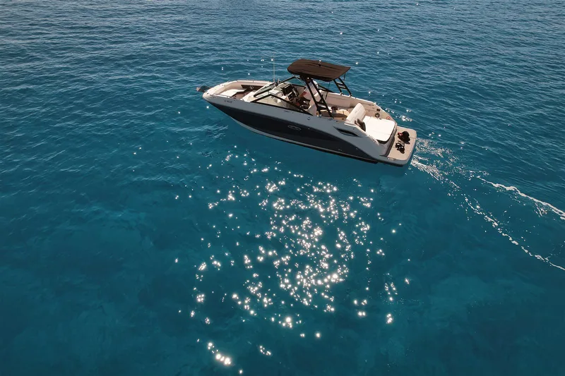Sea Ray SDX 250